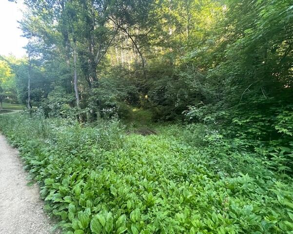 Lot 10 Newcombe Branch Road Road