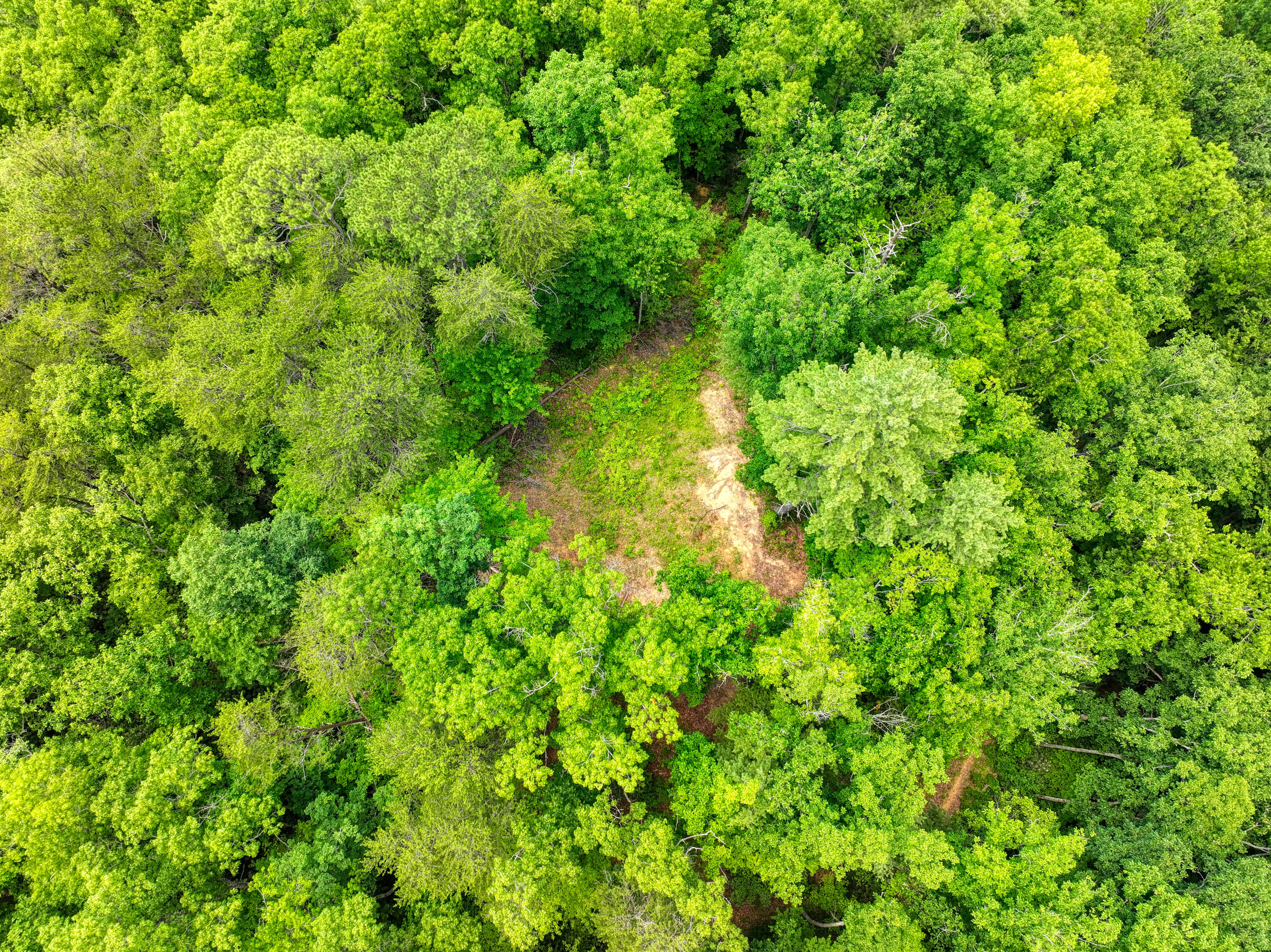 Lot 10 Newcombe Branch Road Road