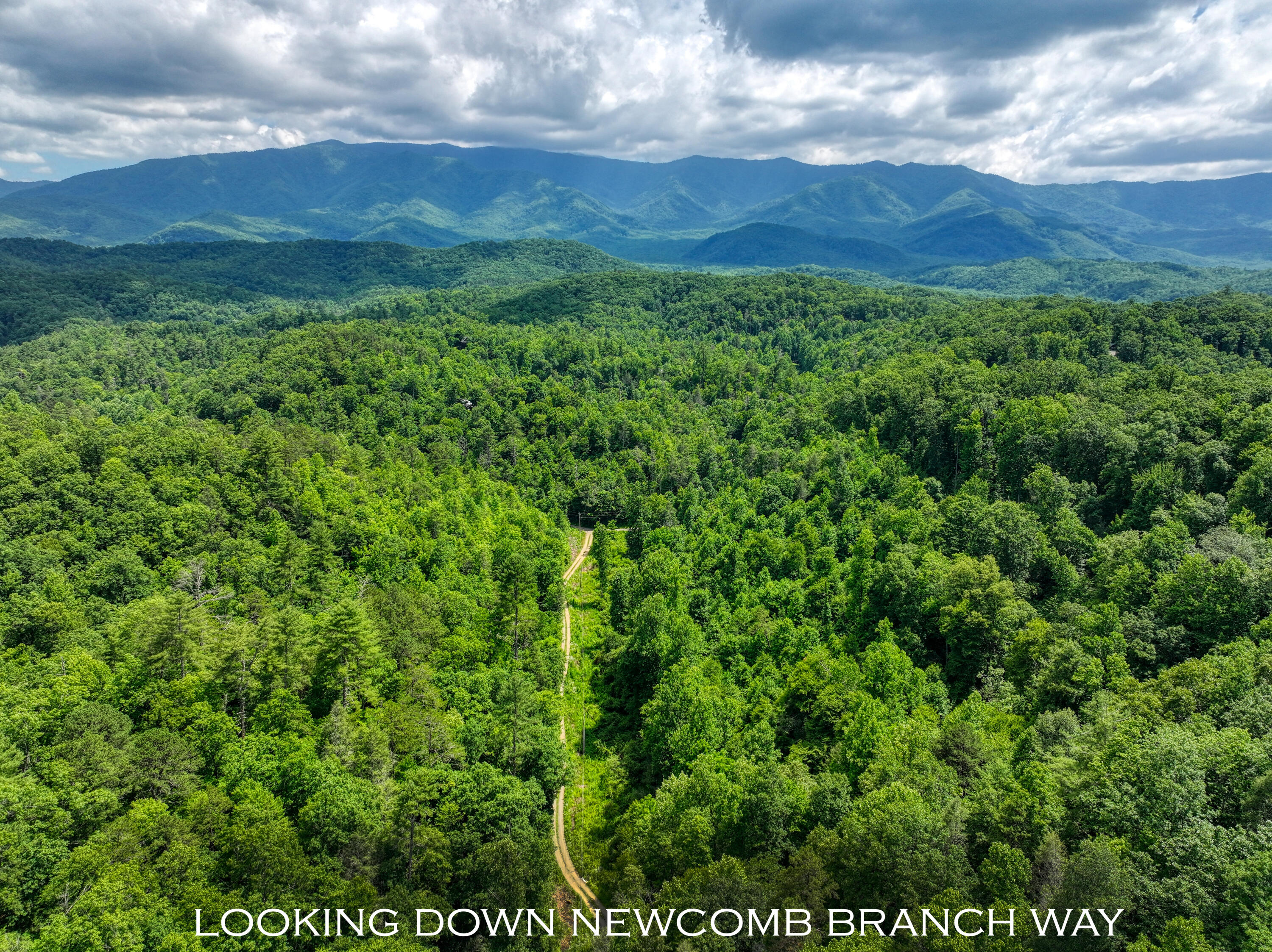 Lot 10 Newcombe Branch Road Road