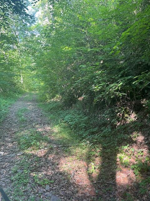 Lot 10 Newcombe Branch Road Road