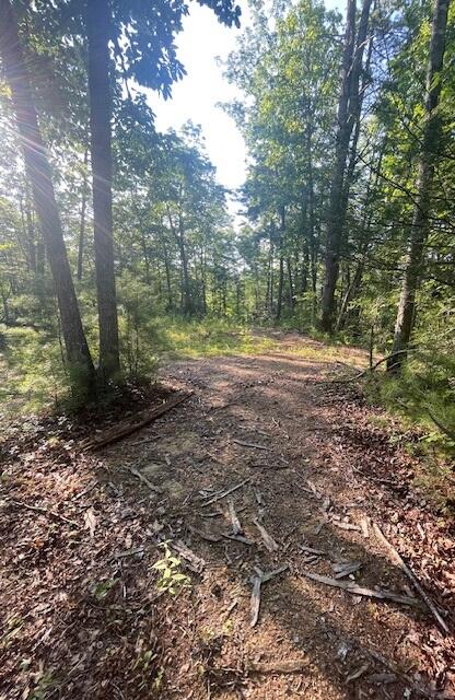 Lot 10 Newcombe Branch Road Road