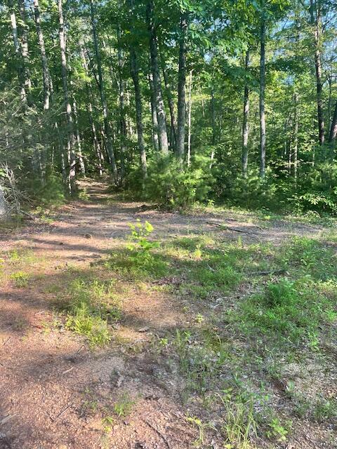 Lot 10 Newcombe Branch Road Road