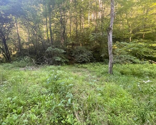 Lot 10 Newcombe Branch Road Road