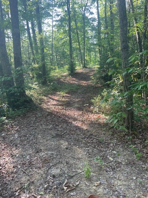 Lot 10 Newcombe Branch Road Road