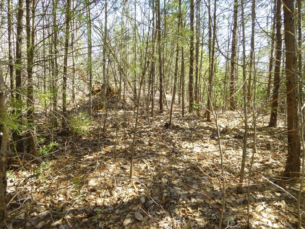 lots 24&25 Sonshine Ridge Rd.