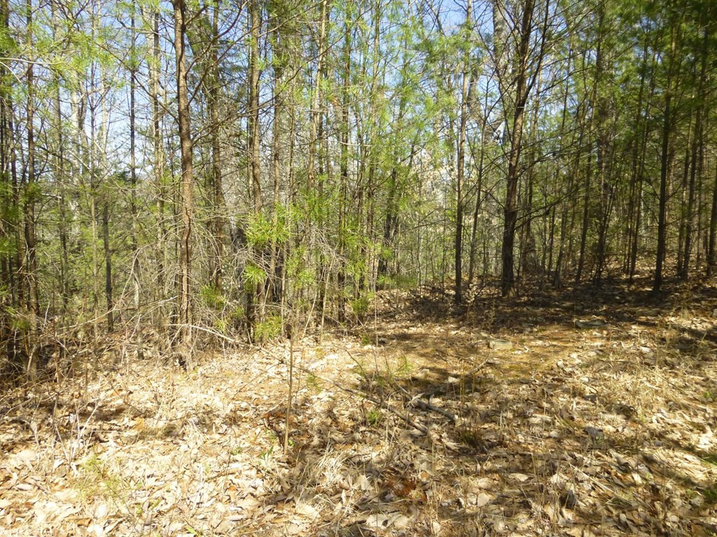 lots 24&25 Sonshine Ridge Rd.