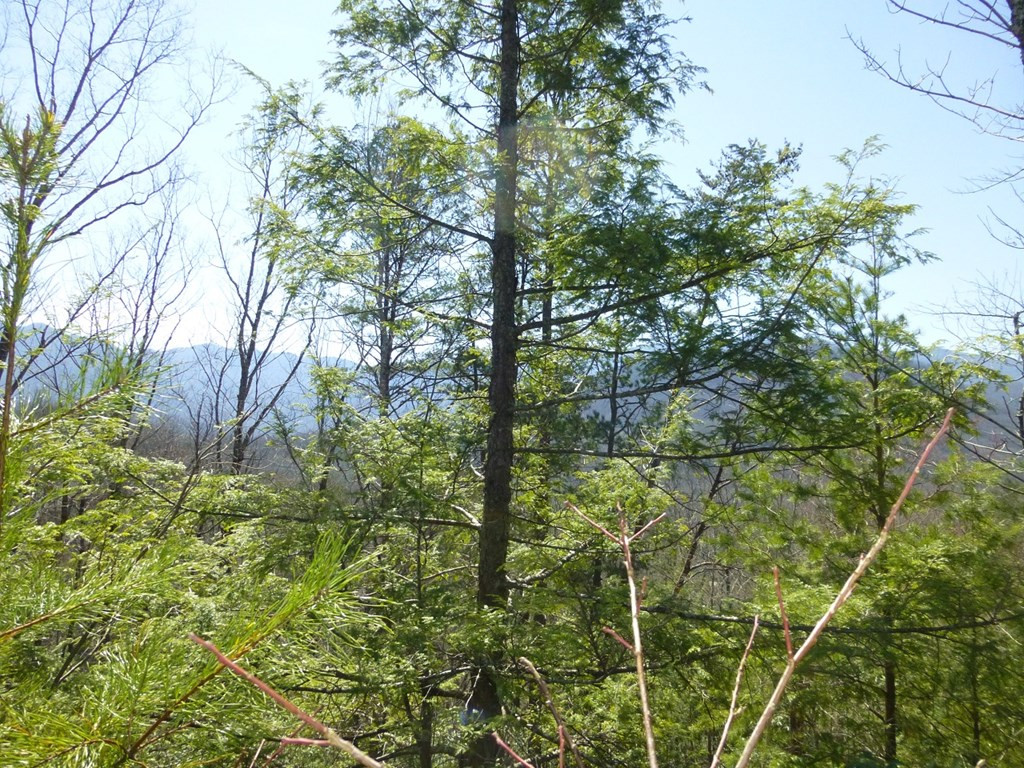 lots 24&25 Sonshine Ridge Rd.