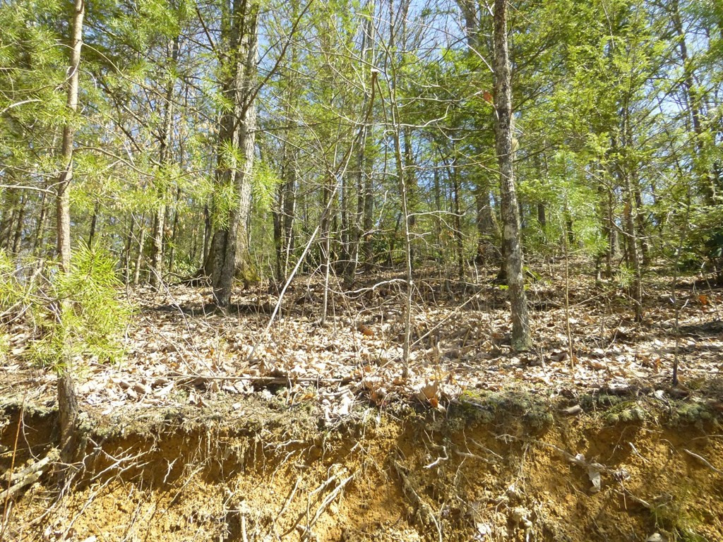 lots 24&25 Sonshine Ridge Rd.