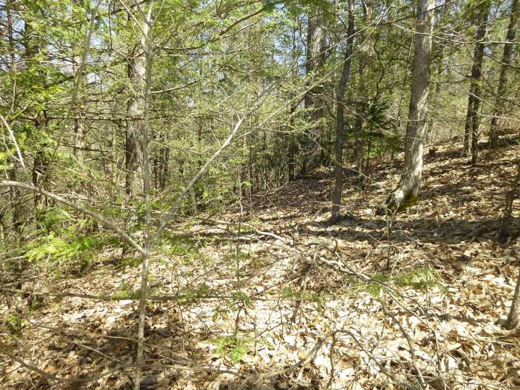 lots 24&25 Sonshine Ridge Rd.