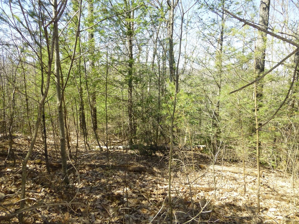 lots 24&25 Sonshine Ridge Rd.