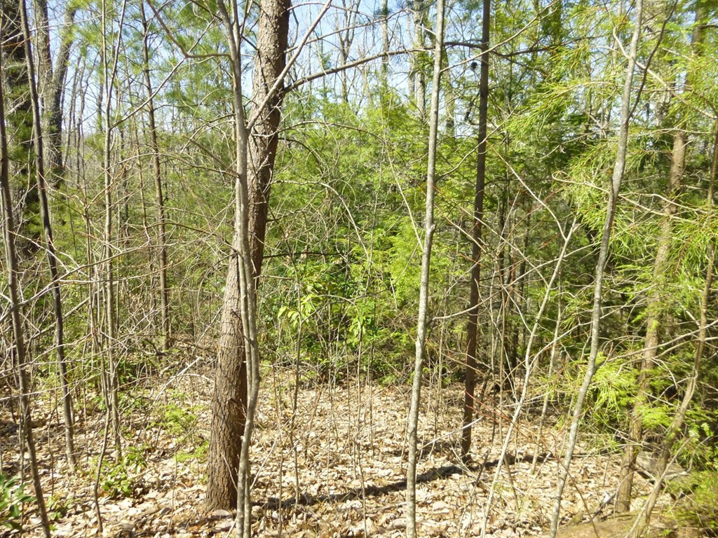 lots 24&25 Sonshine Ridge Rd.