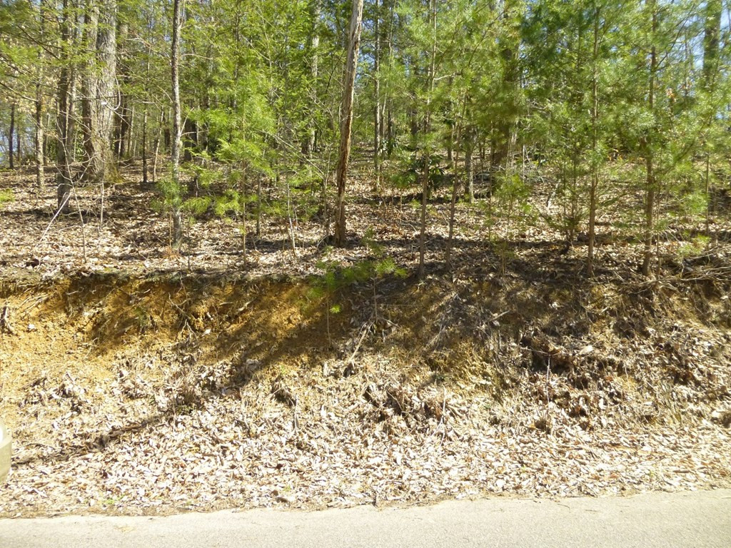 lots 24&25 Sonshine Ridge Rd.