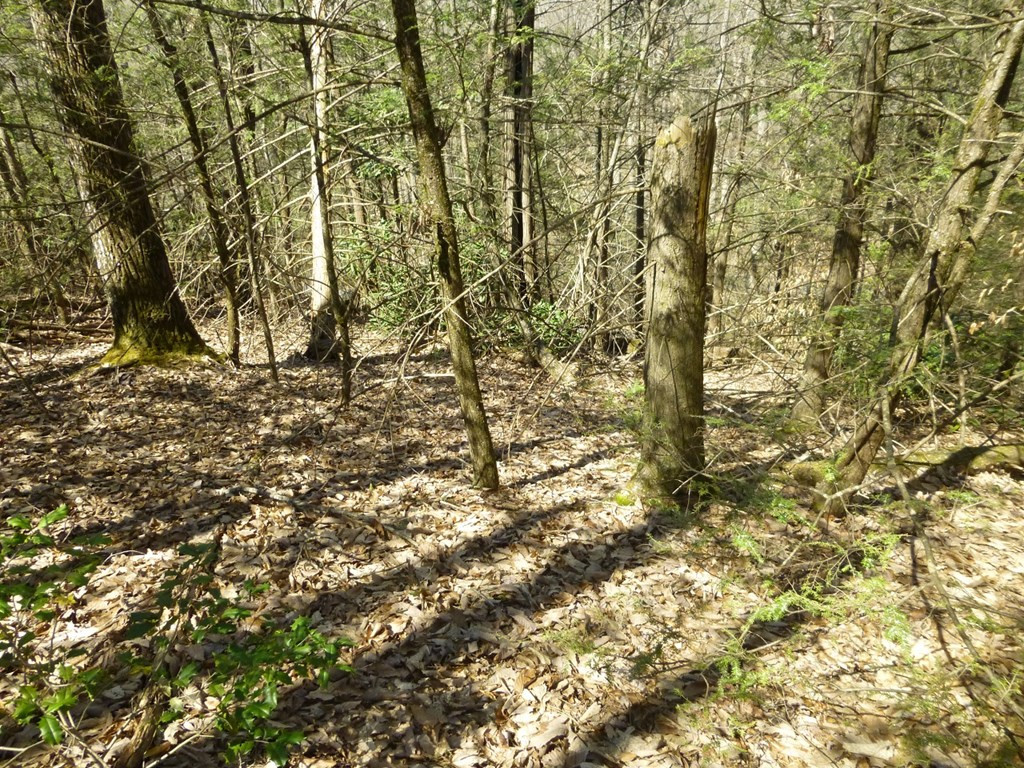 lots 24&25 Sonshine Ridge Rd.