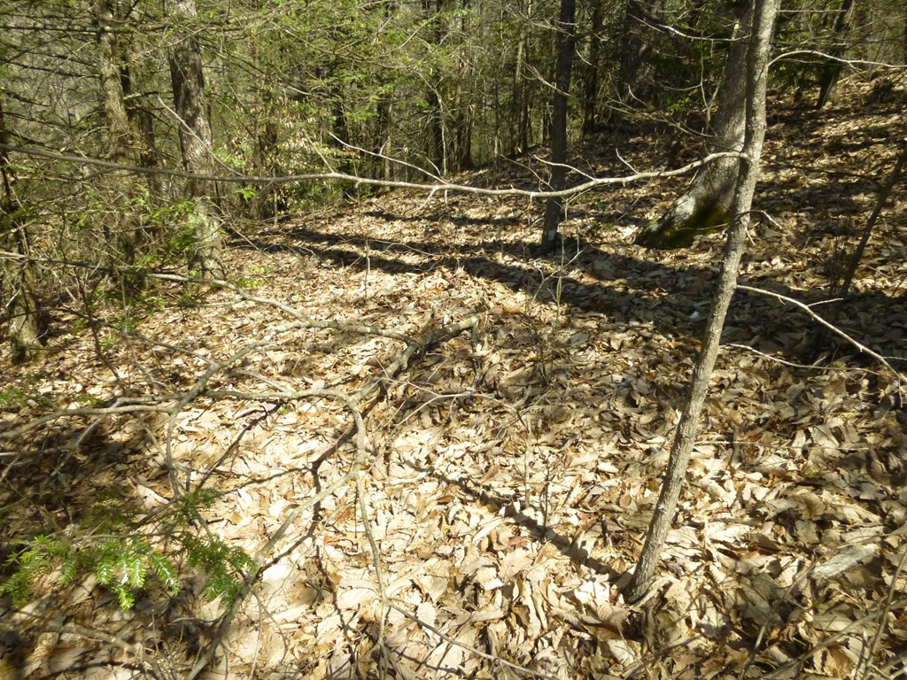 lots 24&25 Sonshine Ridge Rd.