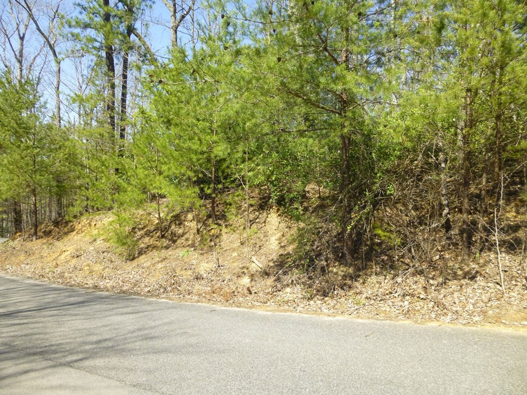 lots 24&25 Sonshine Ridge Rd.