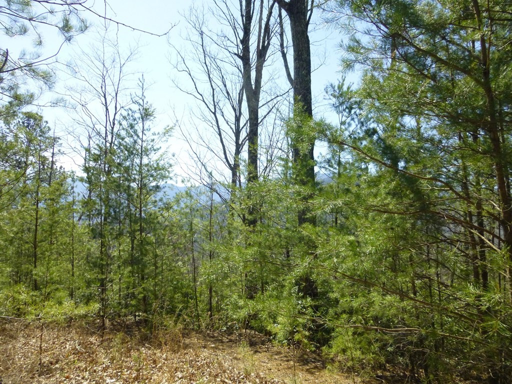 lots 24&25 Sonshine Ridge Rd.