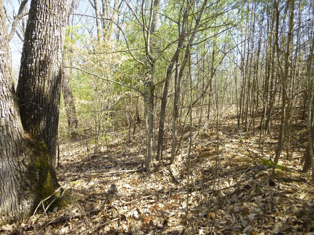 lots 24&25 Sonshine Ridge Rd.