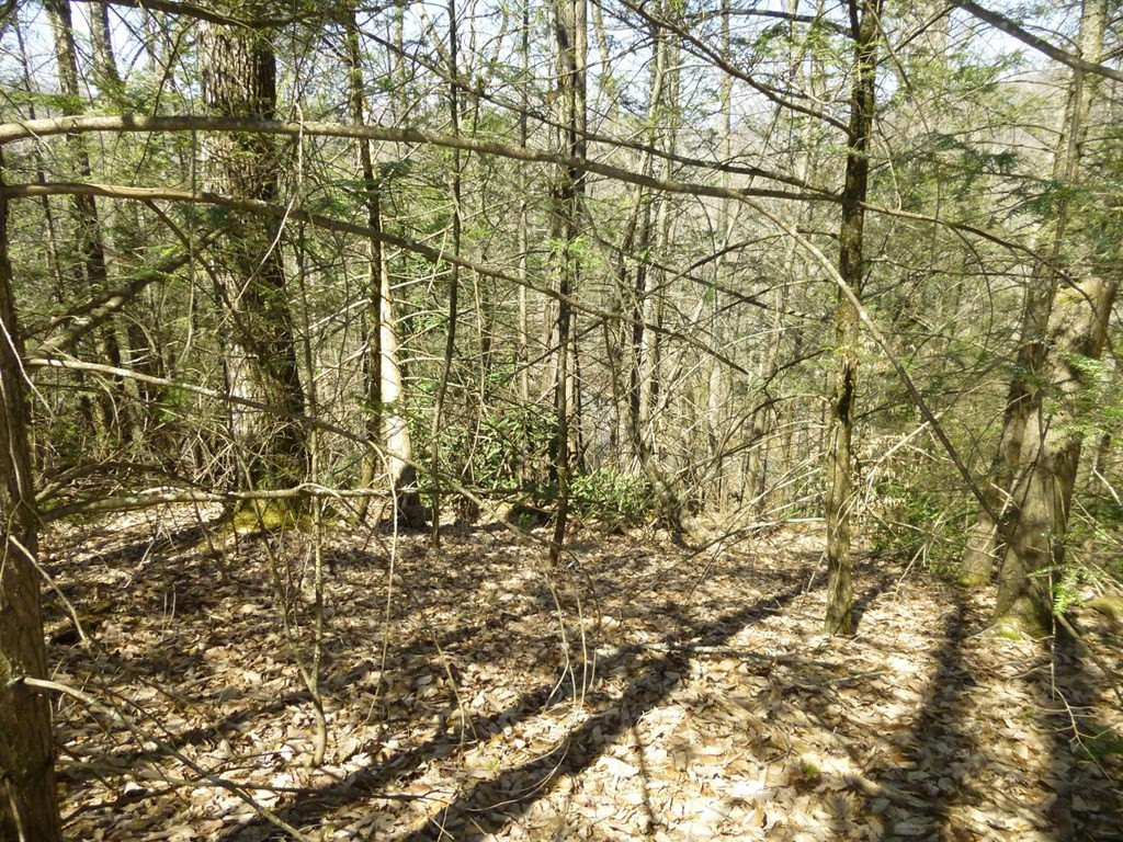 lots 24&25 Sonshine Ridge Rd.