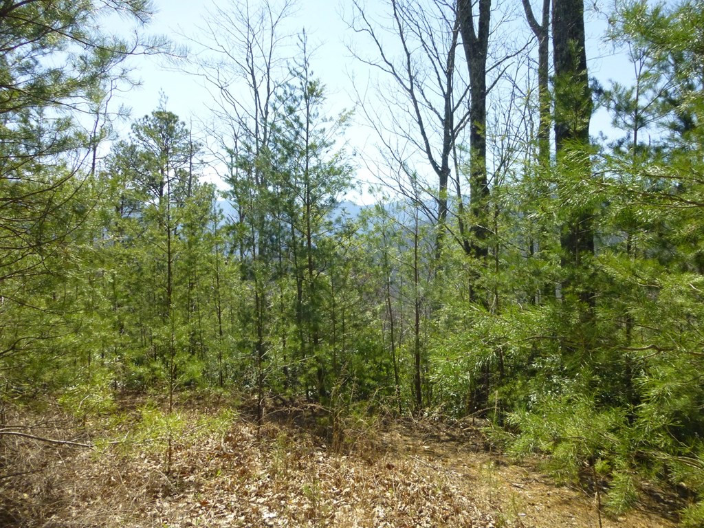 lots 24&25 Sonshine Ridge Rd.