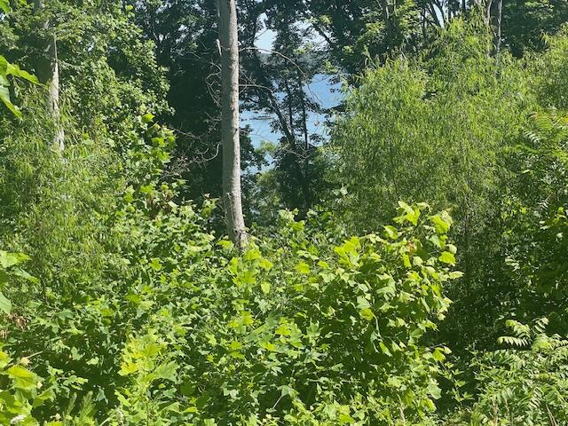 Lot 133 W Point Drive Drive