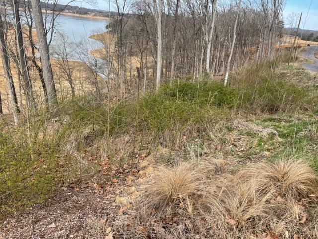 Lot 133 W Point Drive Drive