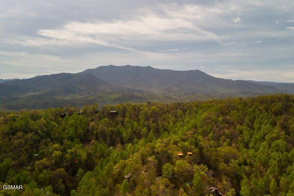 2415 N School House Gap Road Road