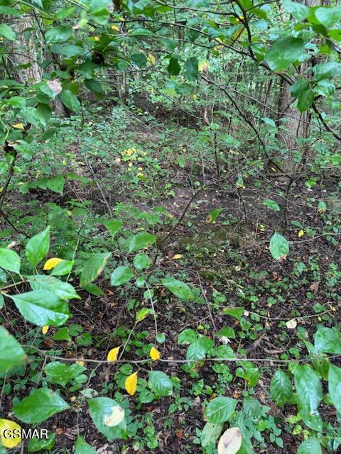 Lot 1 Timber Lake Drive Drive