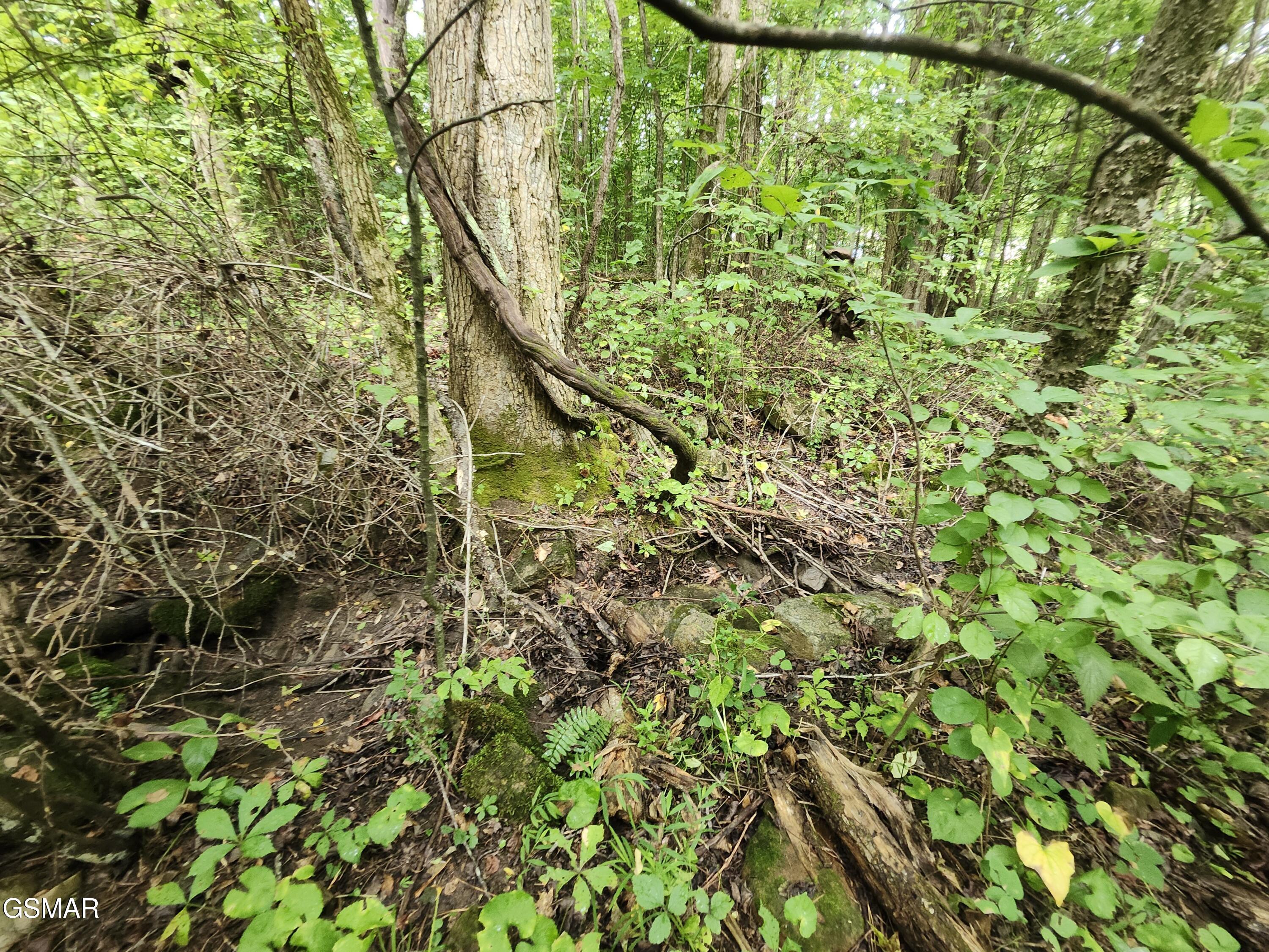 Lot 1 Timber Lake Drive Drive