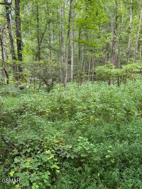 Lot 1 Timber Lake Drive Drive