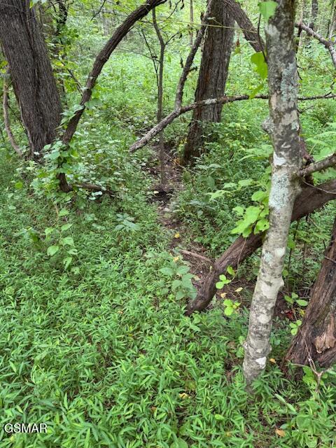 Lot 1 Timber Lake Drive Drive