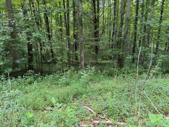 Lot 2 Timber Lake Drive Drive