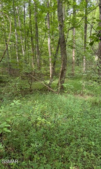 Lot 2 Timber Lake Drive Drive