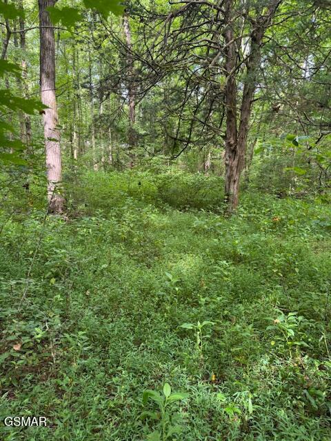 Lot 2 Timber Lake Drive Drive