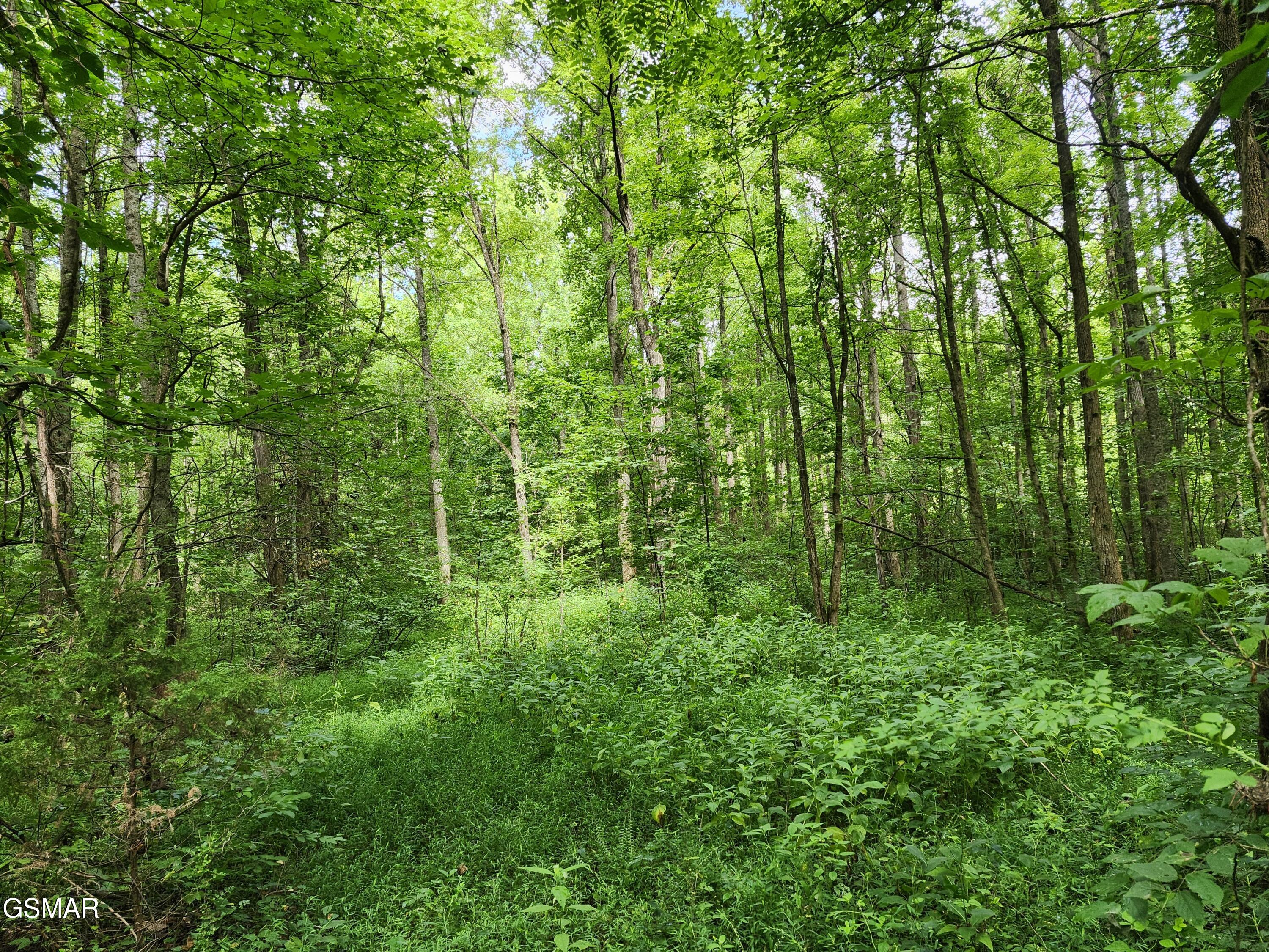 Lot 2 Timber Lake Drive Drive