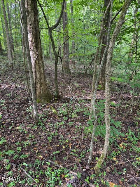 Lot 2 Timber Lake Drive Drive