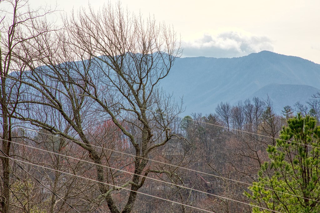 1155 Upper Alpine Way, Unit: #303