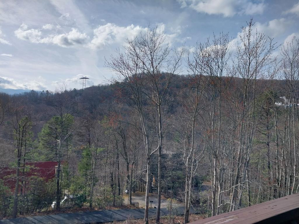 1155 Upper Alpine Way, Unit: #303