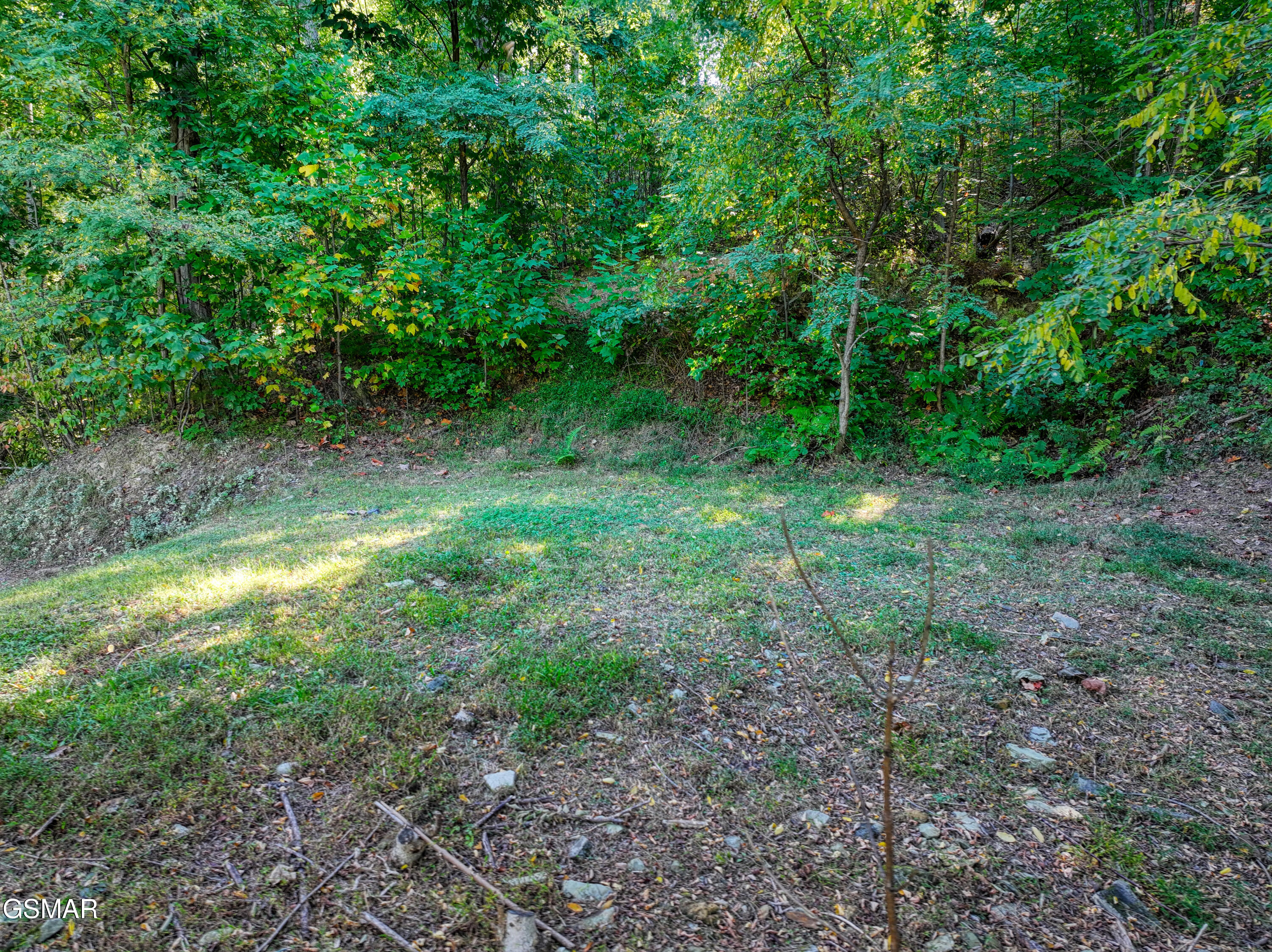 1020 Pine Top Lane Lane