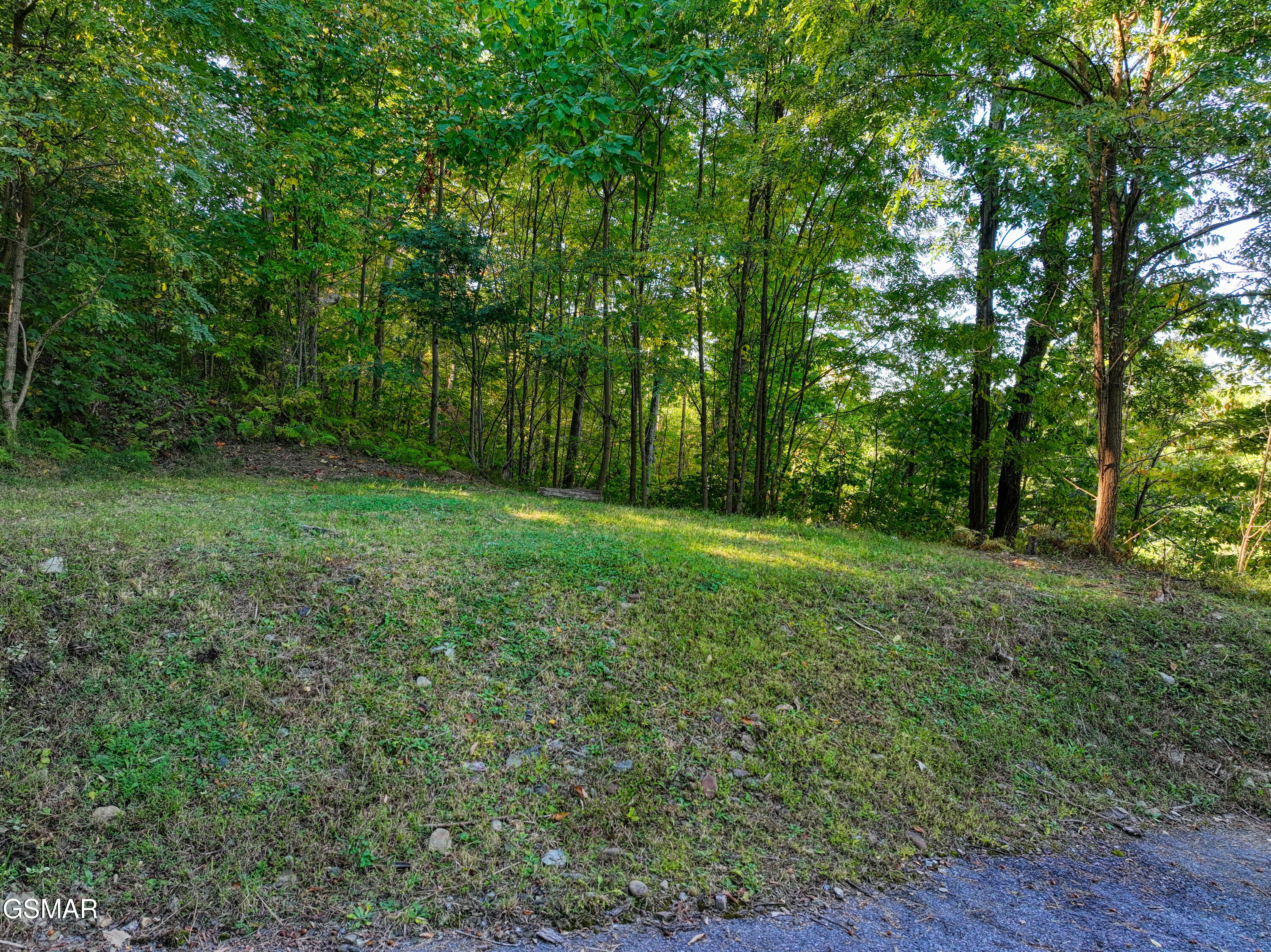 1020 Pine Top Lane Lane