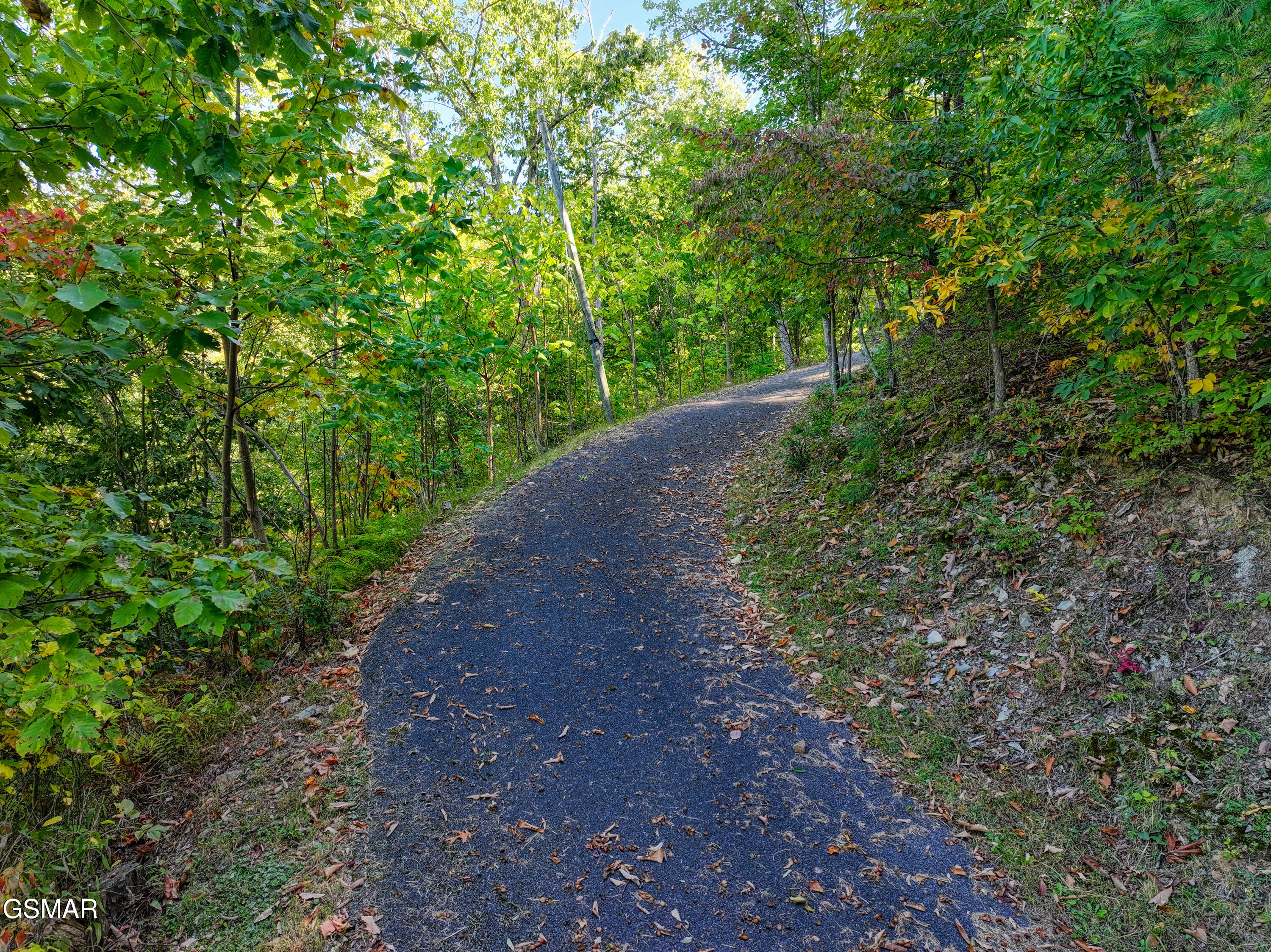 1020 Pine Top Lane Lane