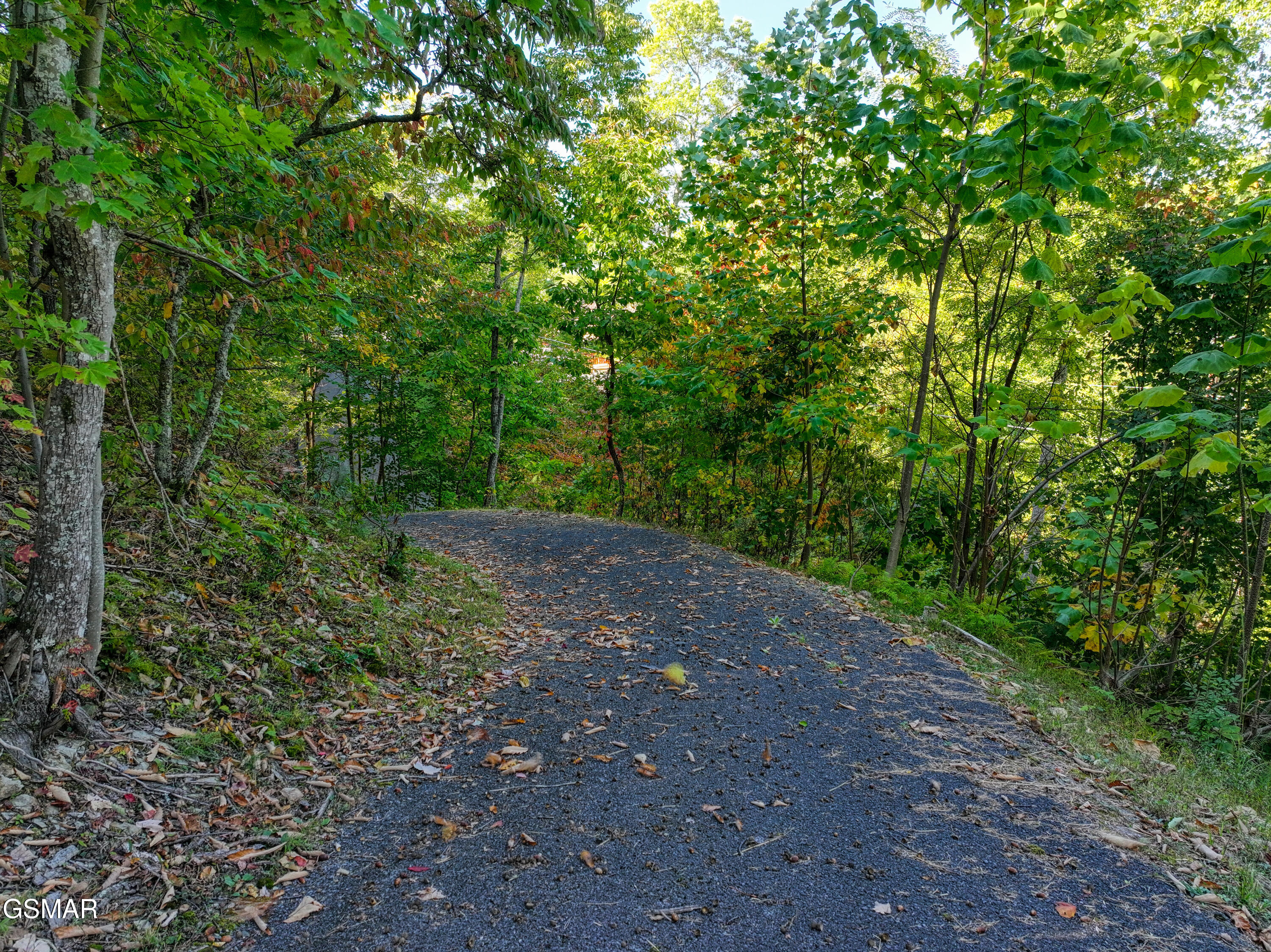 1020 Pine Top Lane Lane