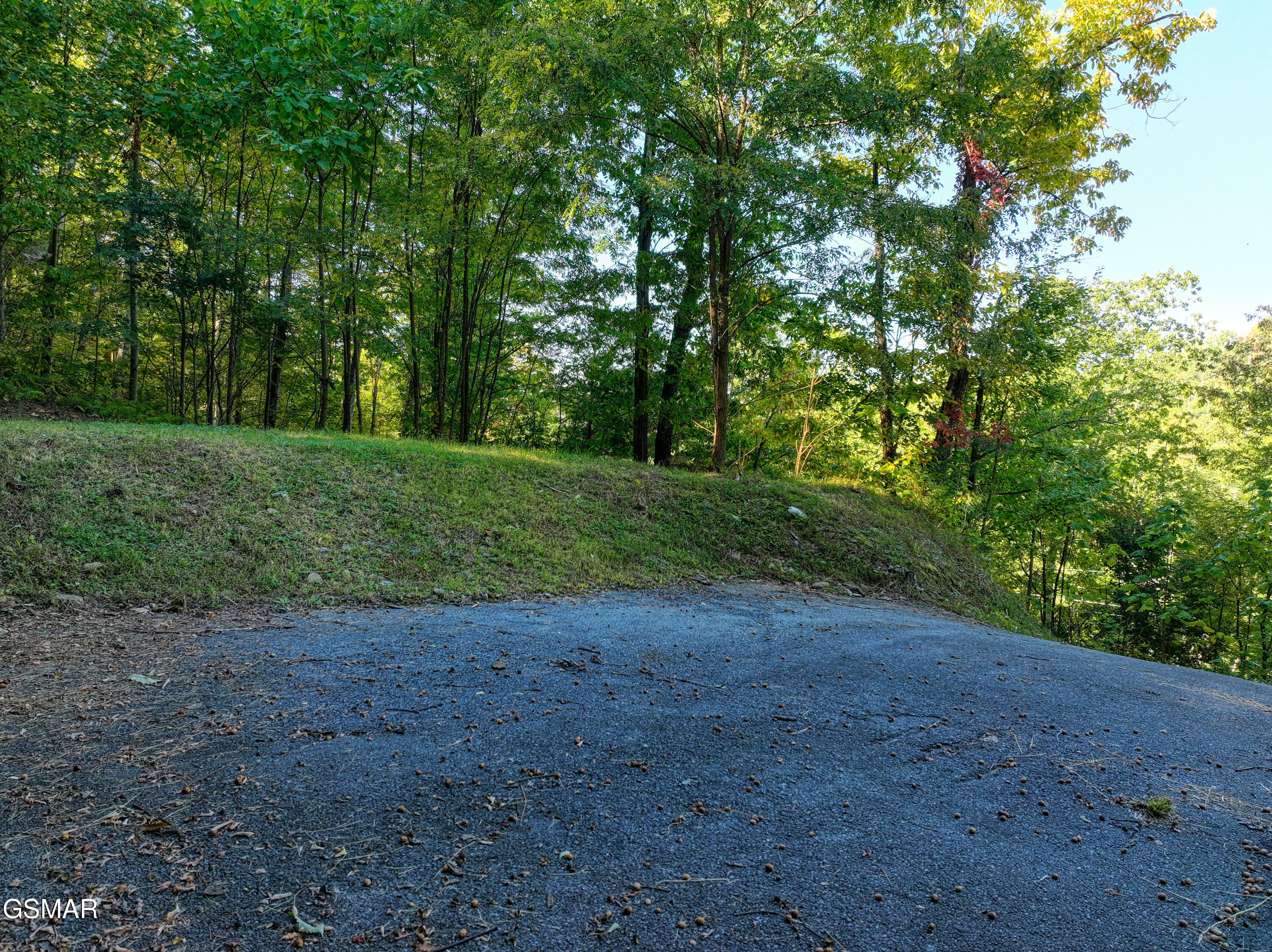 1020 Pine Top Lane Lane