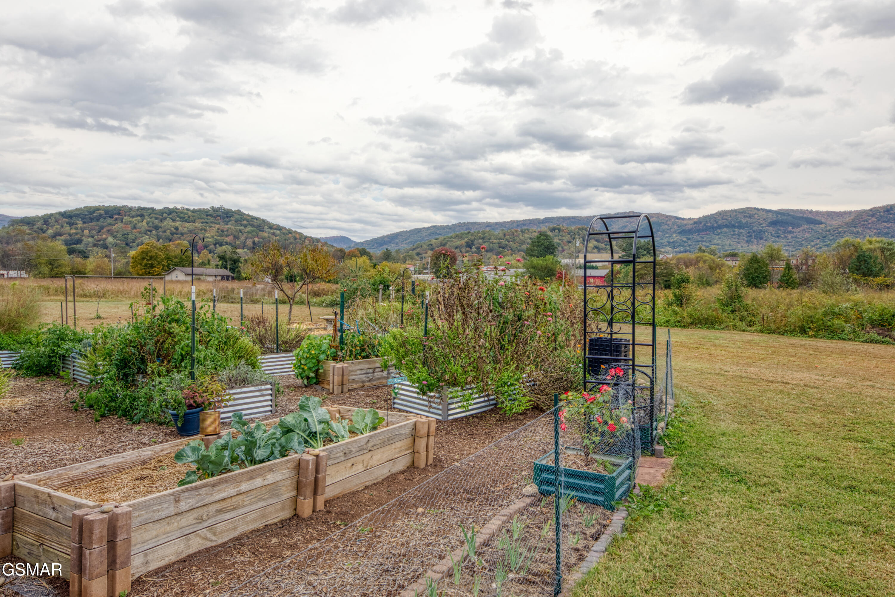 3143 Webbing Way Way