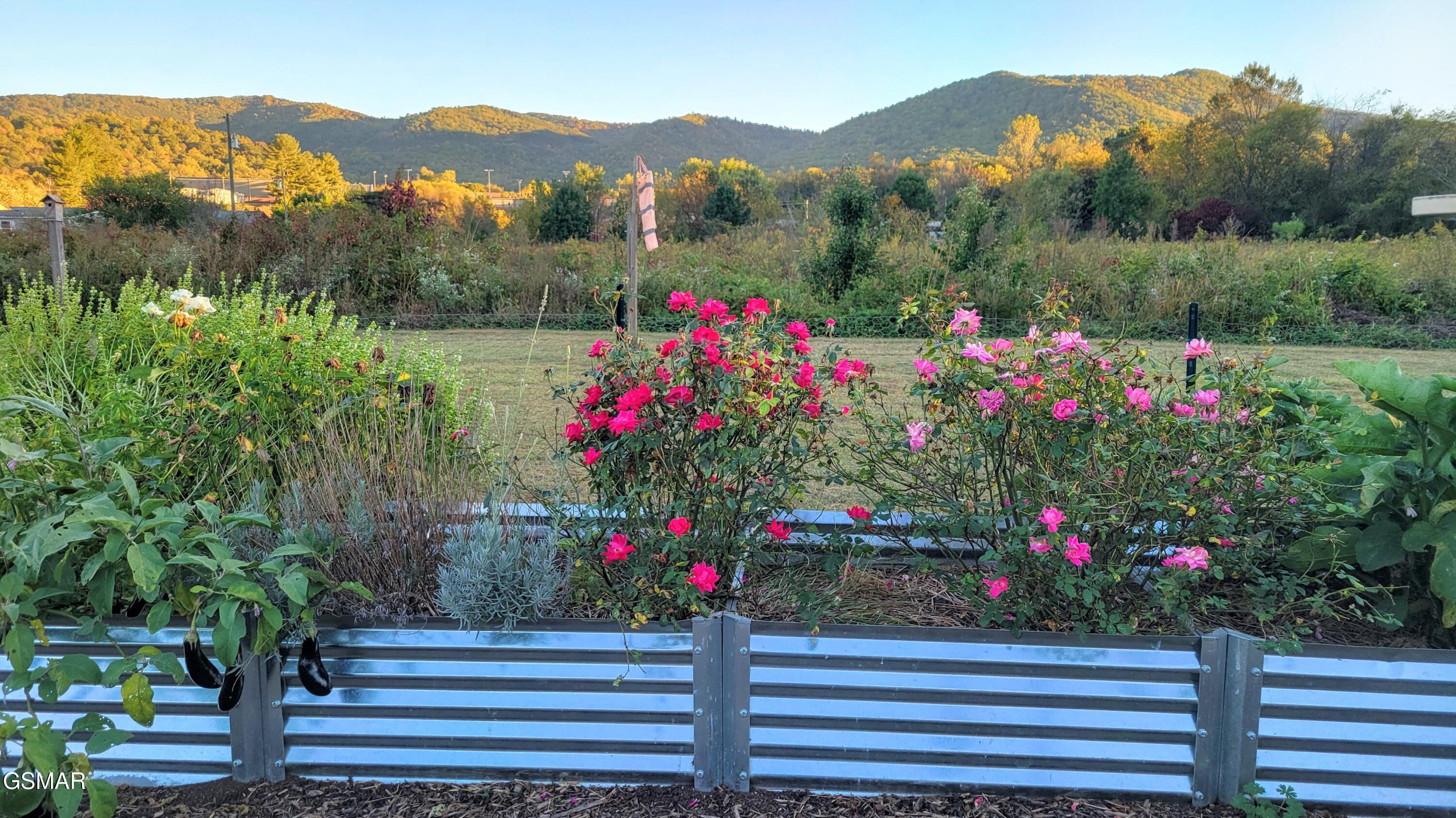 3143 Webbing Way Way