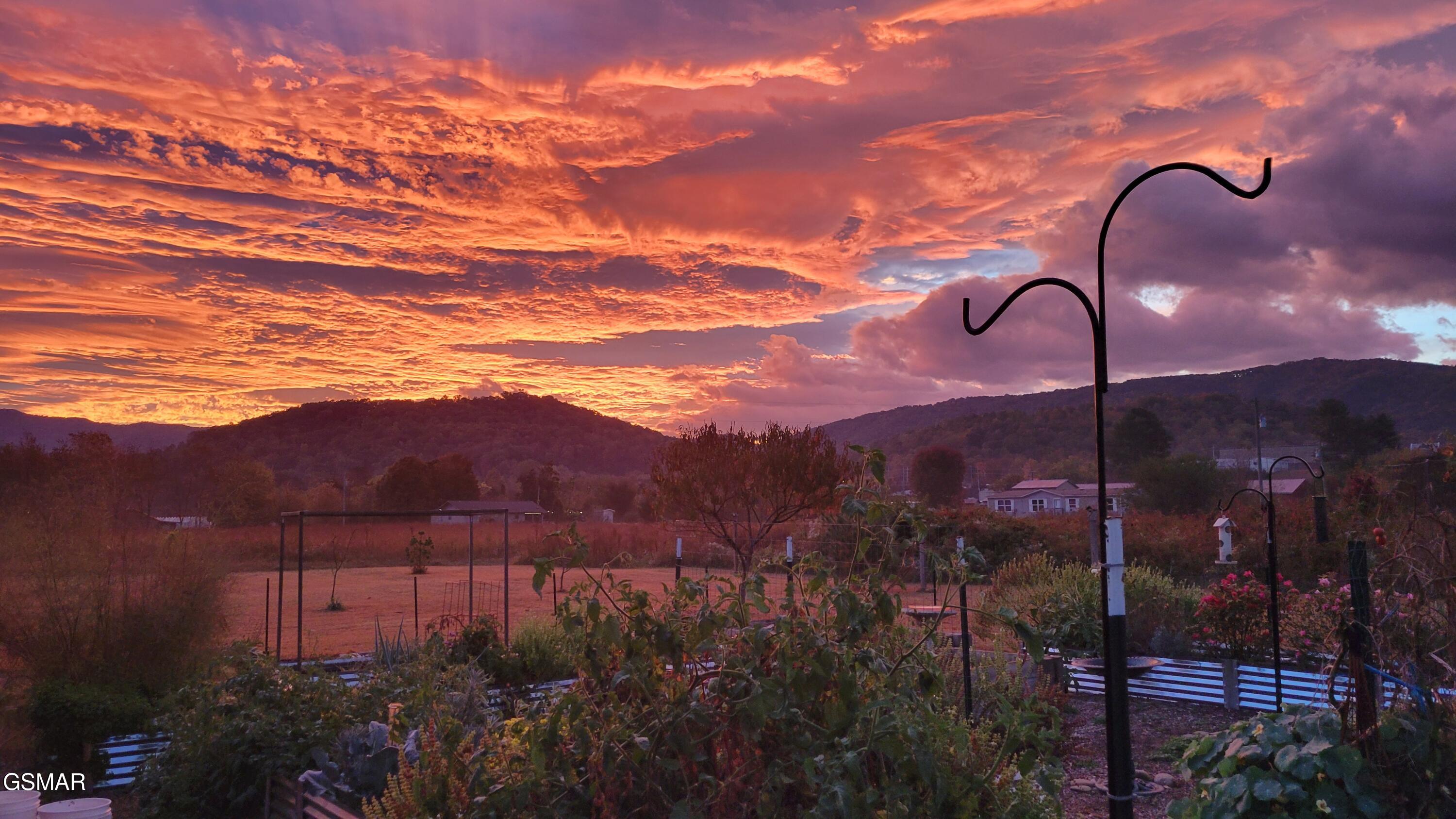 3143 Webbing Way Way