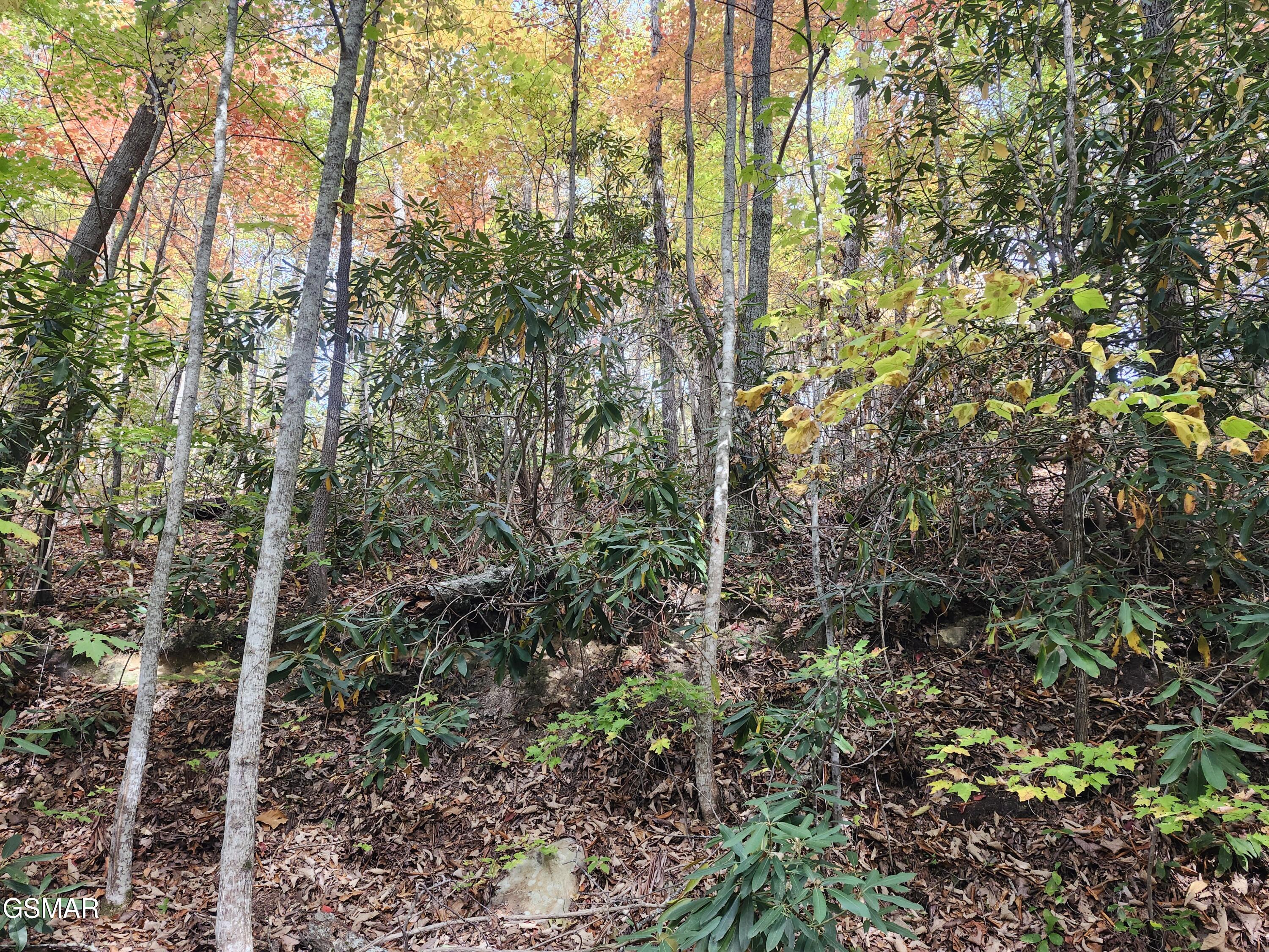 Lot 11 Bluff Mtn. Rd.