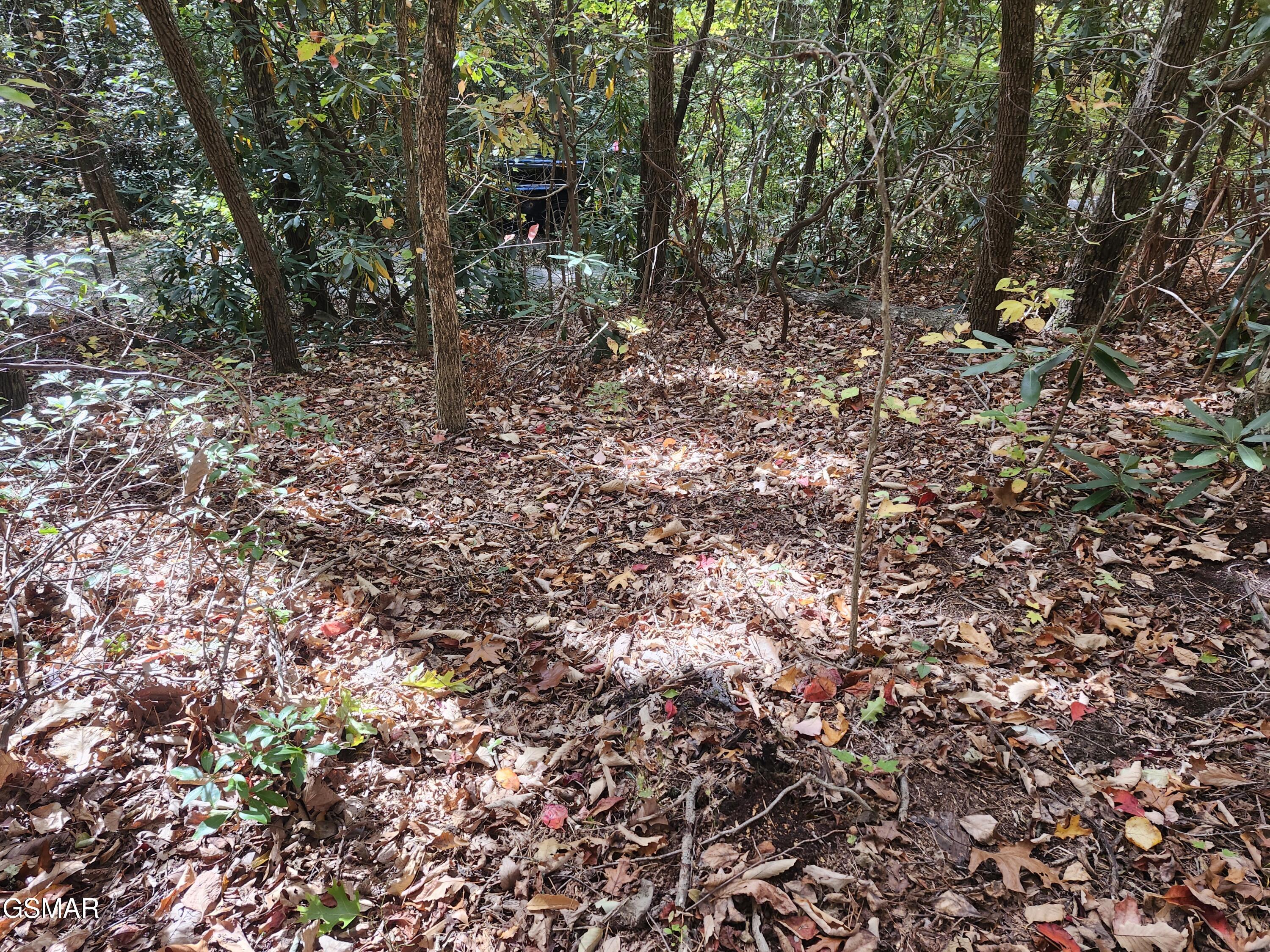 Lot 11 Bluff Mtn. Rd.