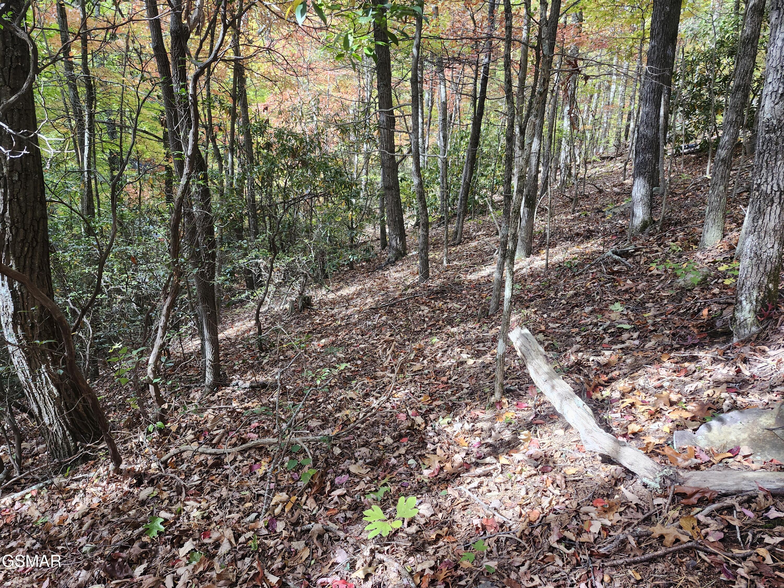 Lot 11 Bluff Mtn. Rd.