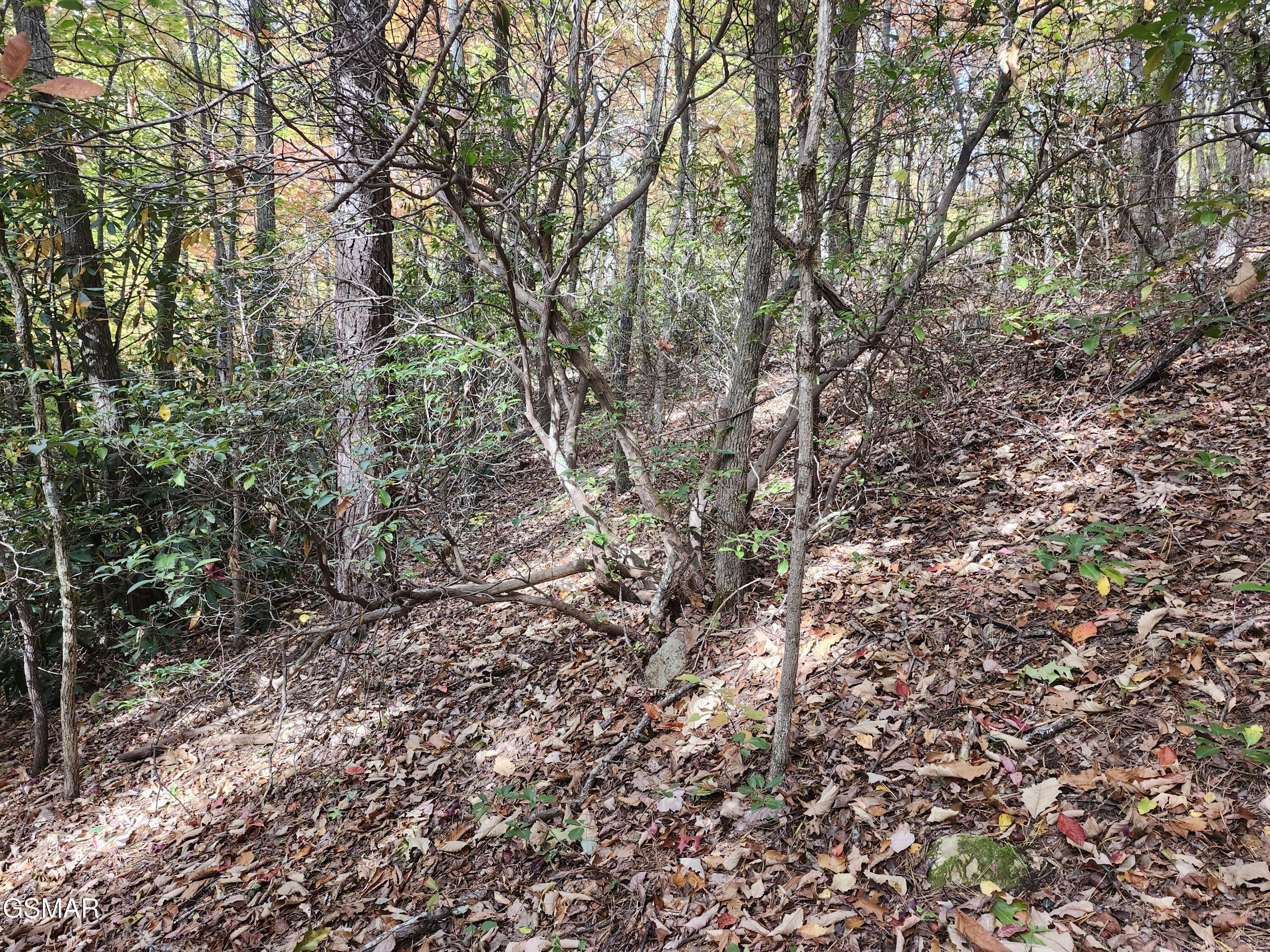 Lot 11 Bluff Mtn. Rd.