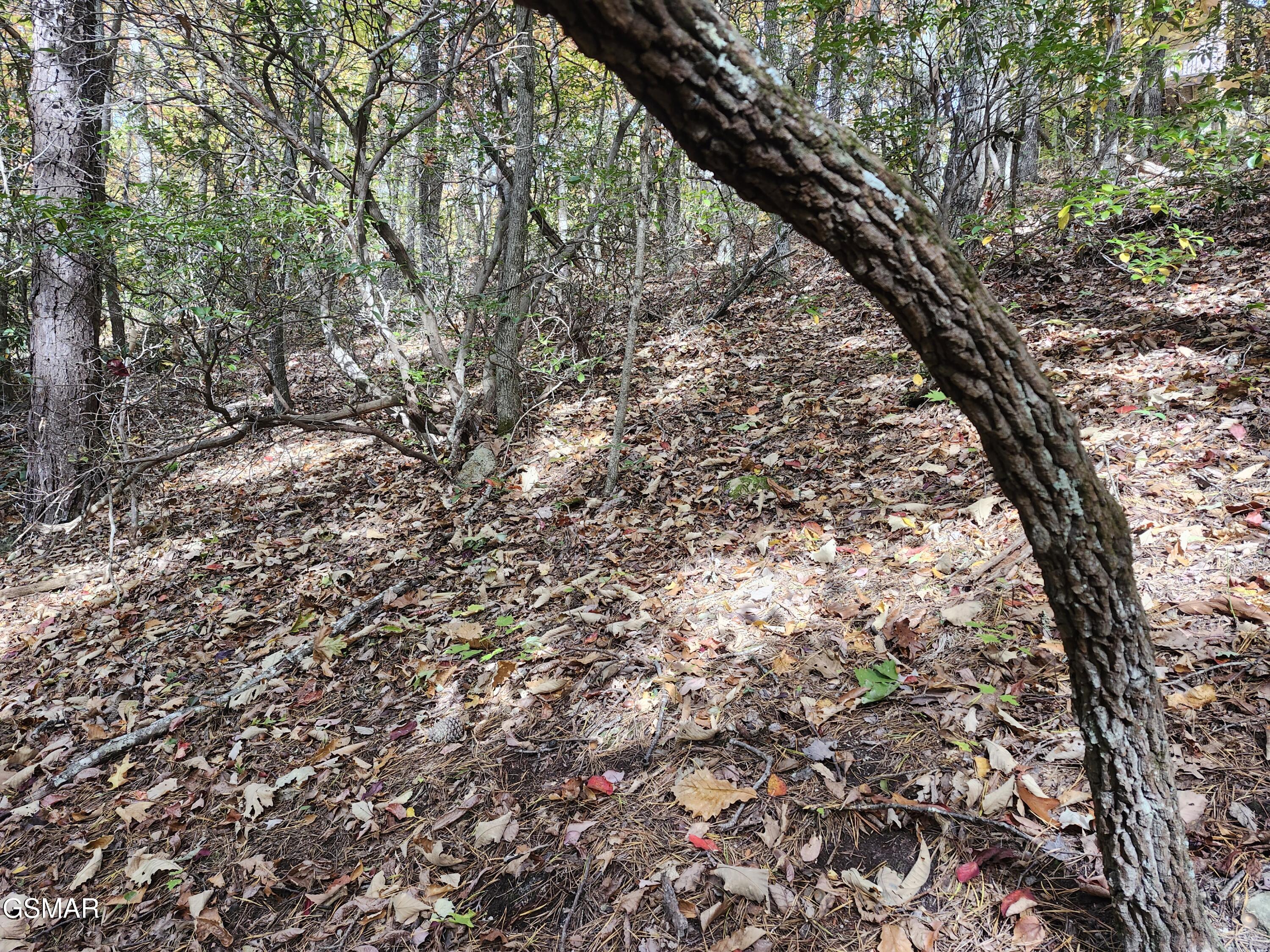 Lot 11 Bluff Mtn. Rd.